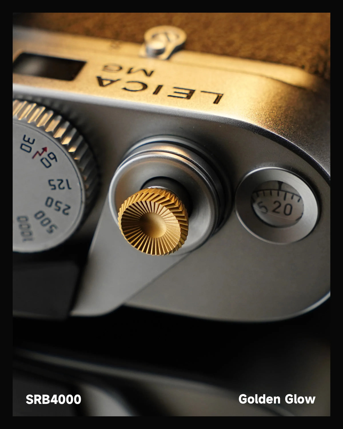 A Touch of Golden Glow on the Leica M6