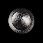 Happy New Year Shutter Button