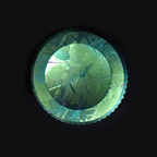 Happy New Year Shutter Button