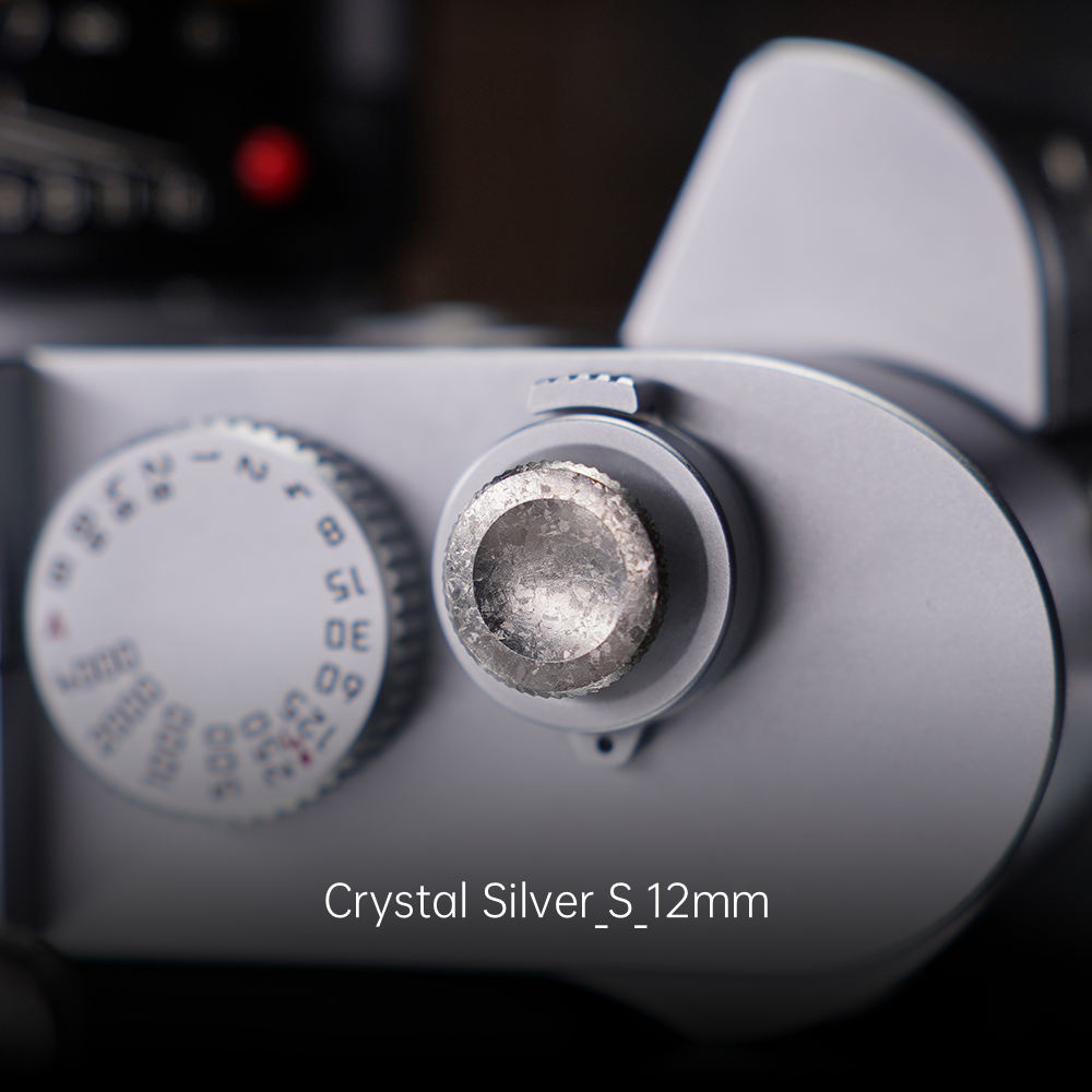 Happy New Year Shutter Button